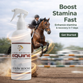 Showroom Spray